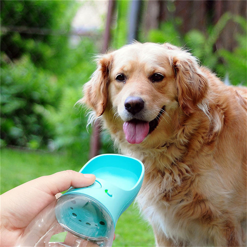 Pet Water Cup